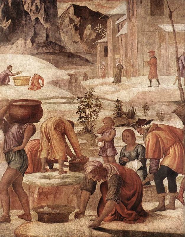 LUINI, Bernardino The Gathering of the Manna s oil painting image
